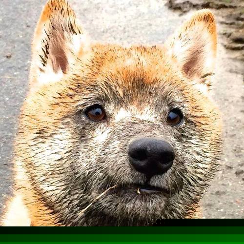 爱游戏体育APP下载-_中国选手李娜精彩表现，助力本土精神鼓舞士气_，李娜生涯