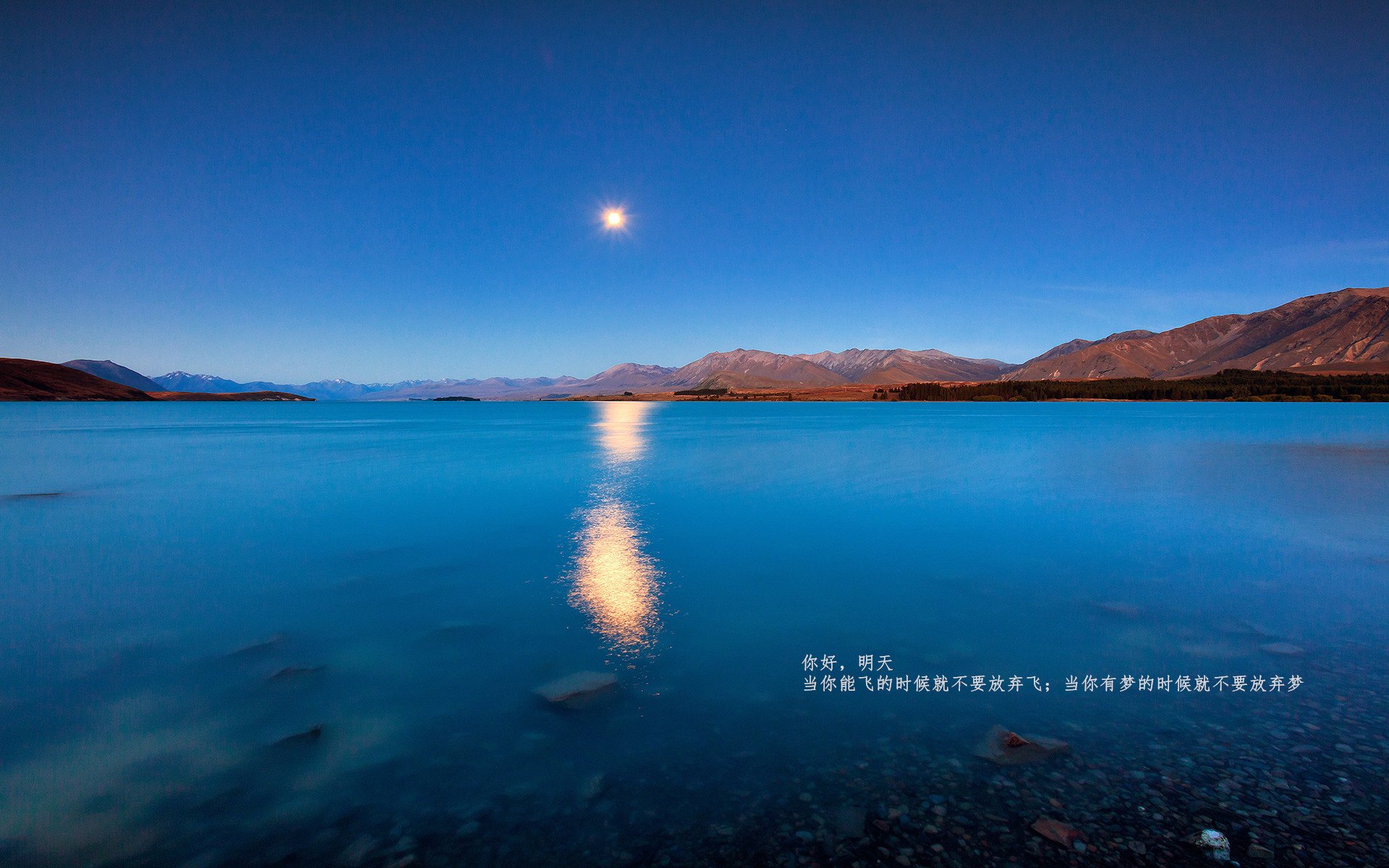 _中国选手李娜精彩表现,助力本土精神鼓舞士气_,李娜生涯