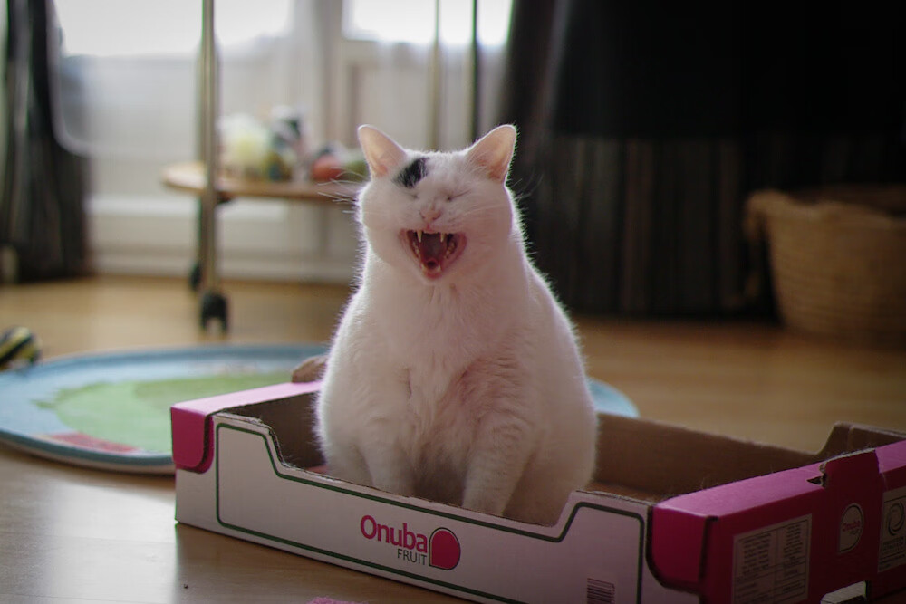 _极地极限跑：在极寒之地挑战人类极限_，极地是啥游戏