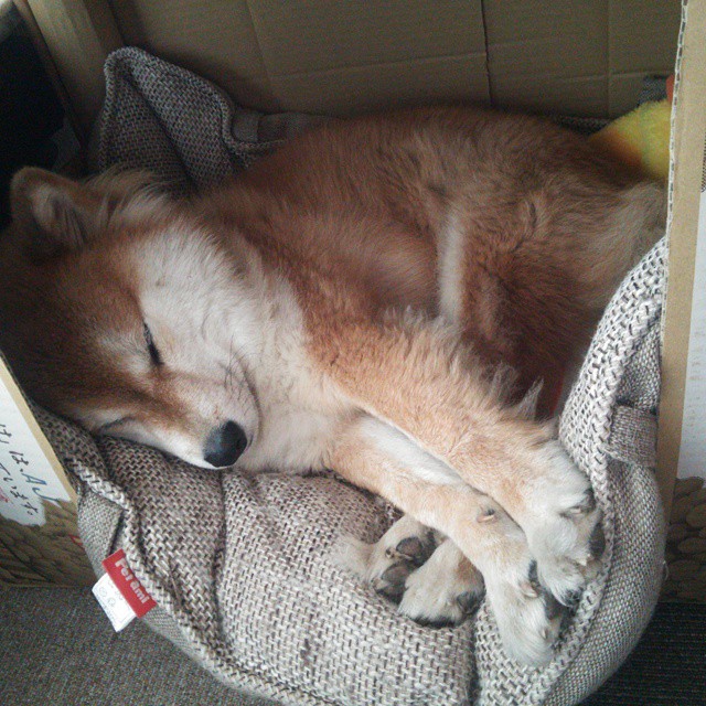 爱游戏中国官方登录入口网站-【顶级运动员】丁俊晖的训练日常，带你走进冠军的生活，丁俊晖是哪项运动员