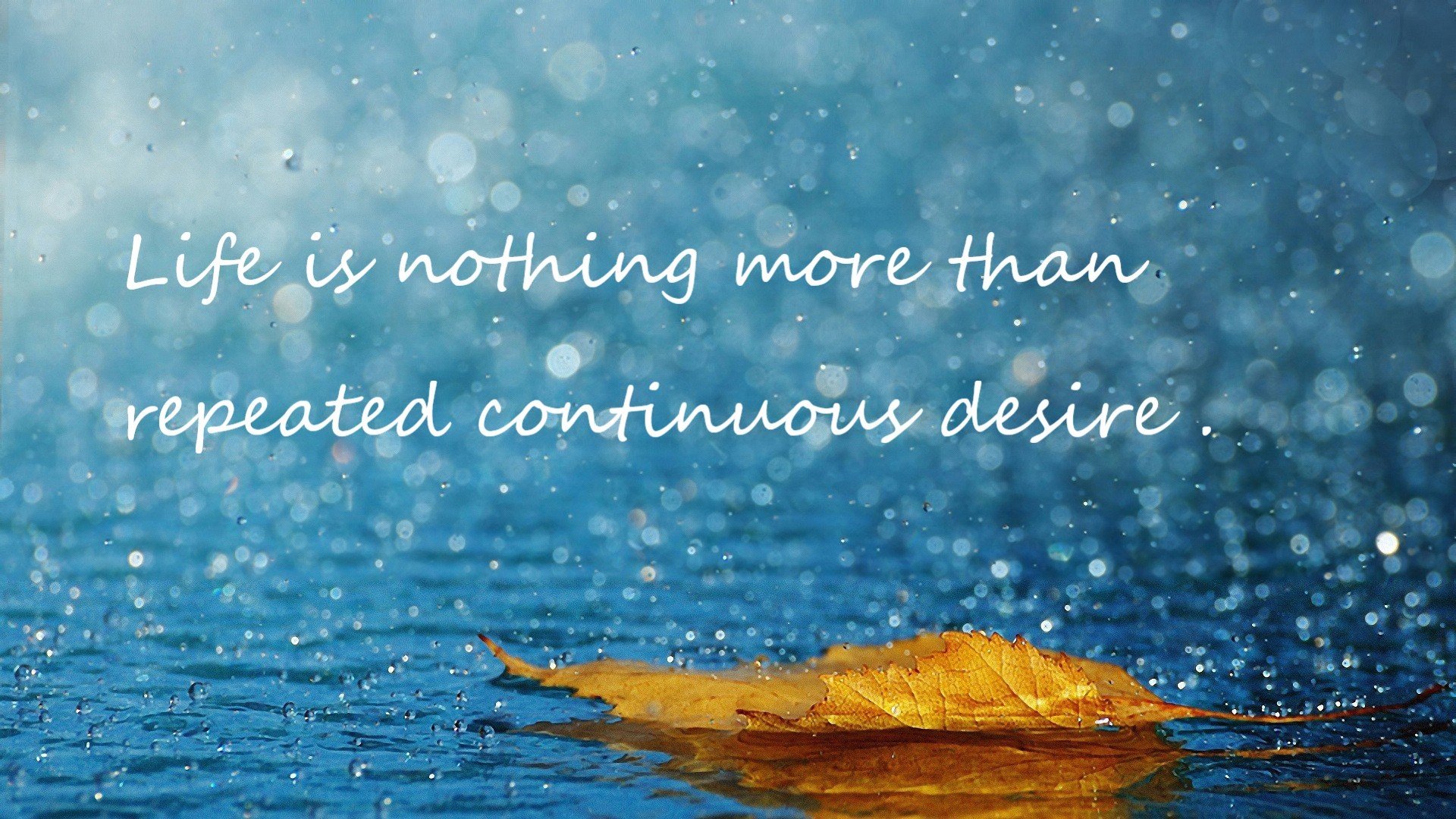 健身博览会：健康与活力的展示，2020广州国际健身博览会视频