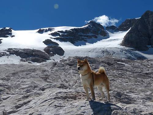 AYX官网-利物浦进攻节奏明快，红军志在联赛争冠，利物浦 红