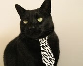 AYX体育官网-森林狼队主帅遭质疑，球队表现一落千丈，森林狼主力球员名单