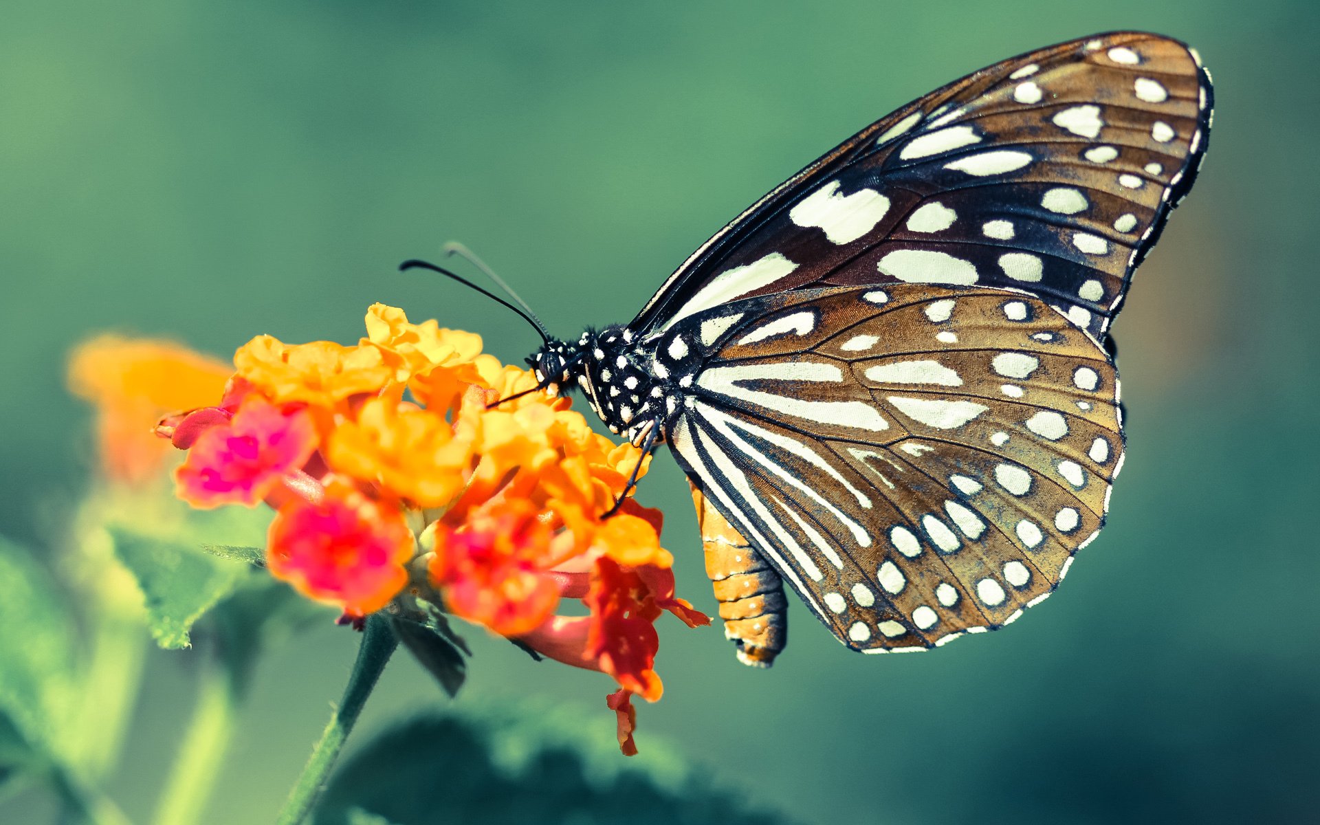 AYX体育官网-热火队新援表现低迷！遭受批评！，热火队新主场