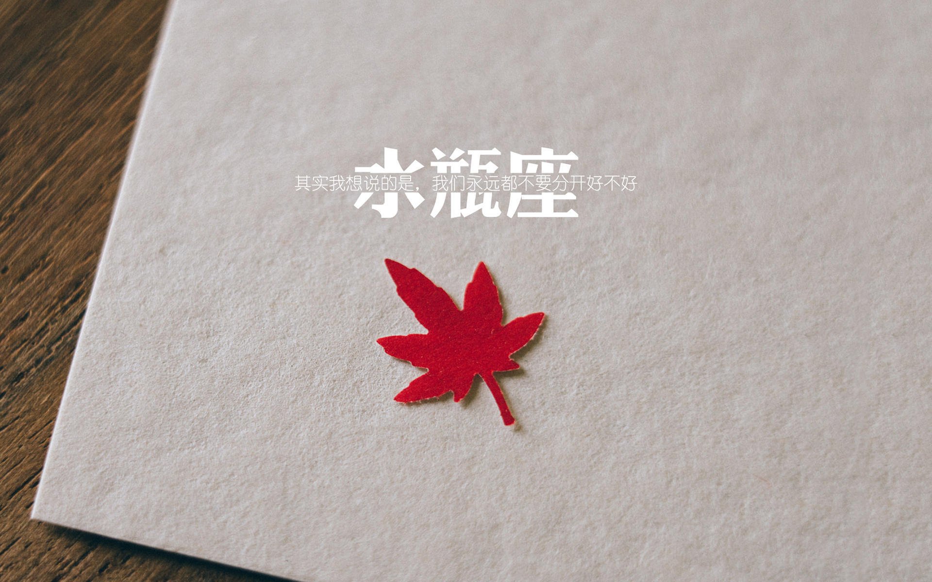 西班牙队在欧洲杯期间的战术调整取得显著成效,西班牙队 欧洲杯