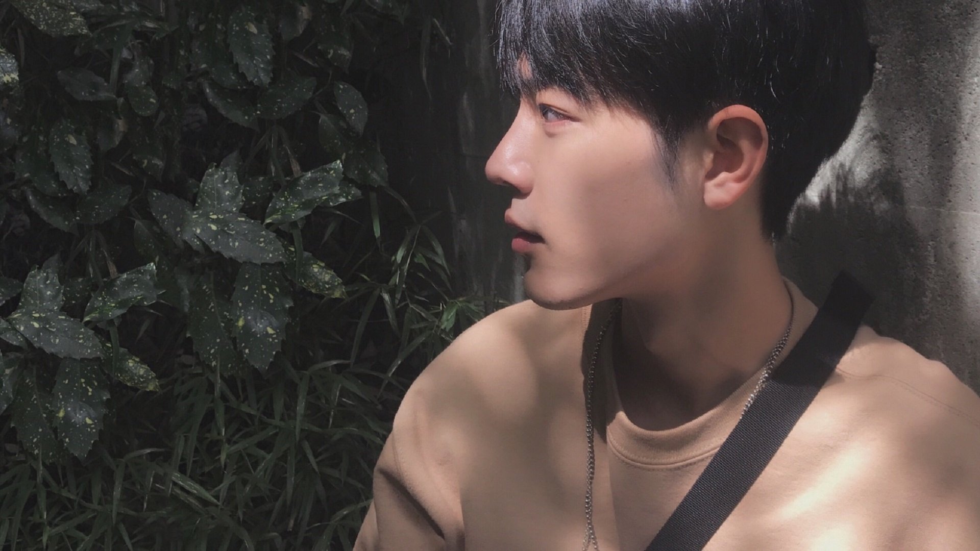 AYX GAMING-阿斯顿维拉主场0-2不敌阿斯顿维拉，争四形势严峻，阿斯顿维拉主场叫什么