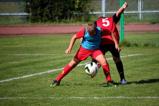 AIYOUXI.COM-篮球运动员训练负荷监控系统开发与应用研究，篮球运动员运动负荷量