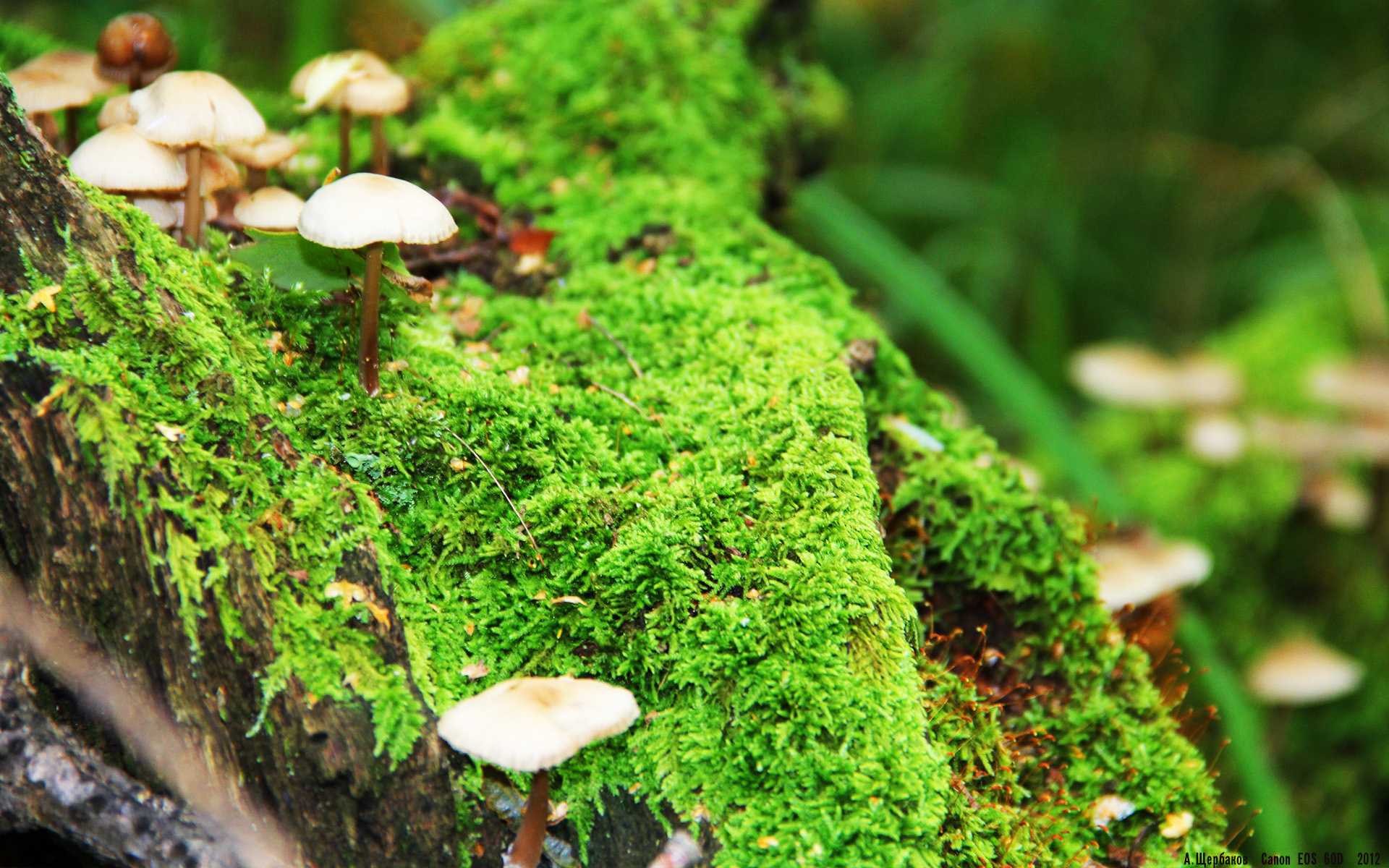 中国女篮紧盯国际赛场新趋势,中国女篮的消息