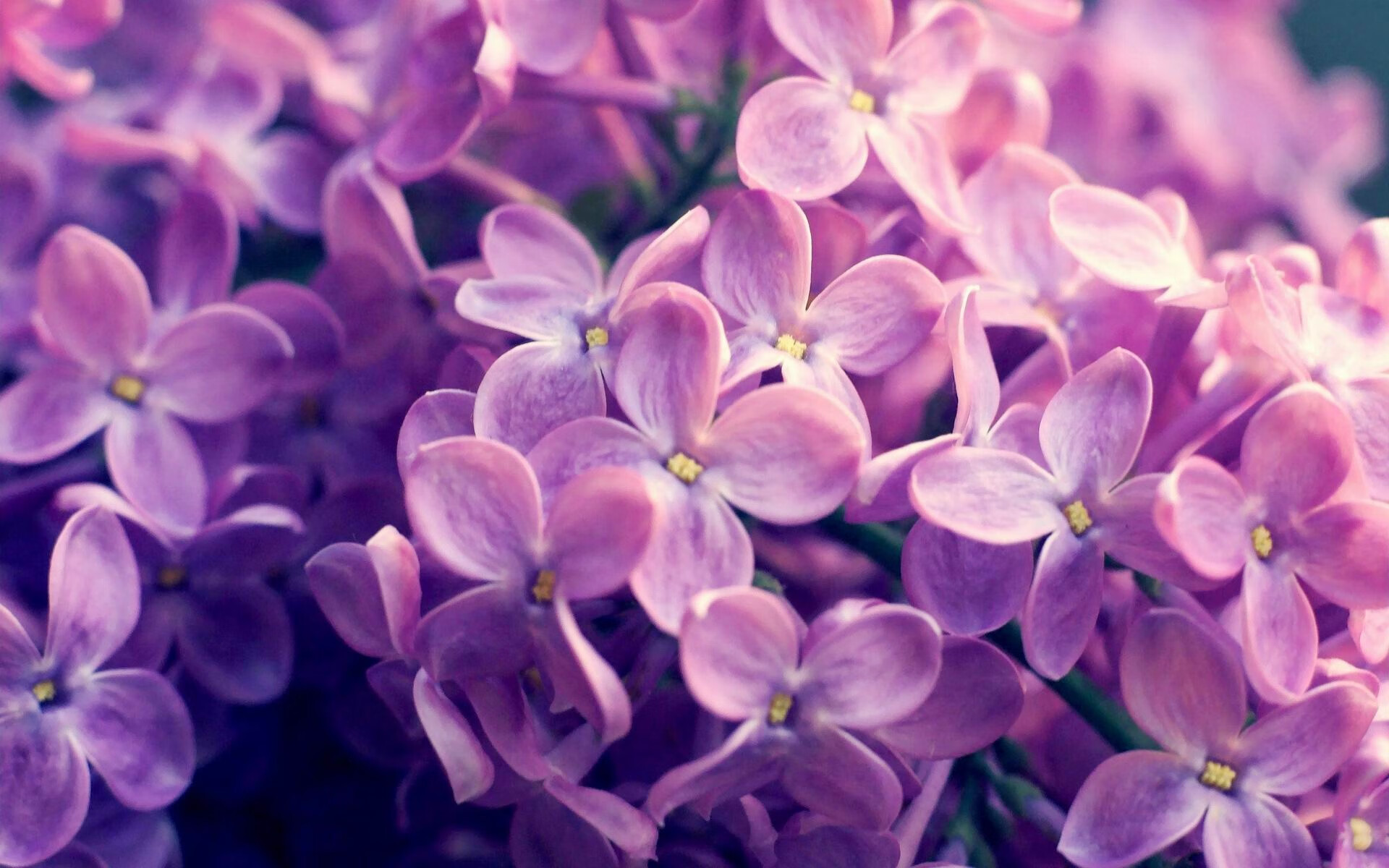 体育新闻中心主办体育新闻行业数字化转型论坛,体育产业数字化创新