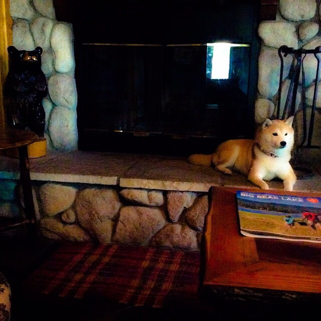 青少年田径混合接力赛赛制首次试水成功，田径混合接力赛的顺序