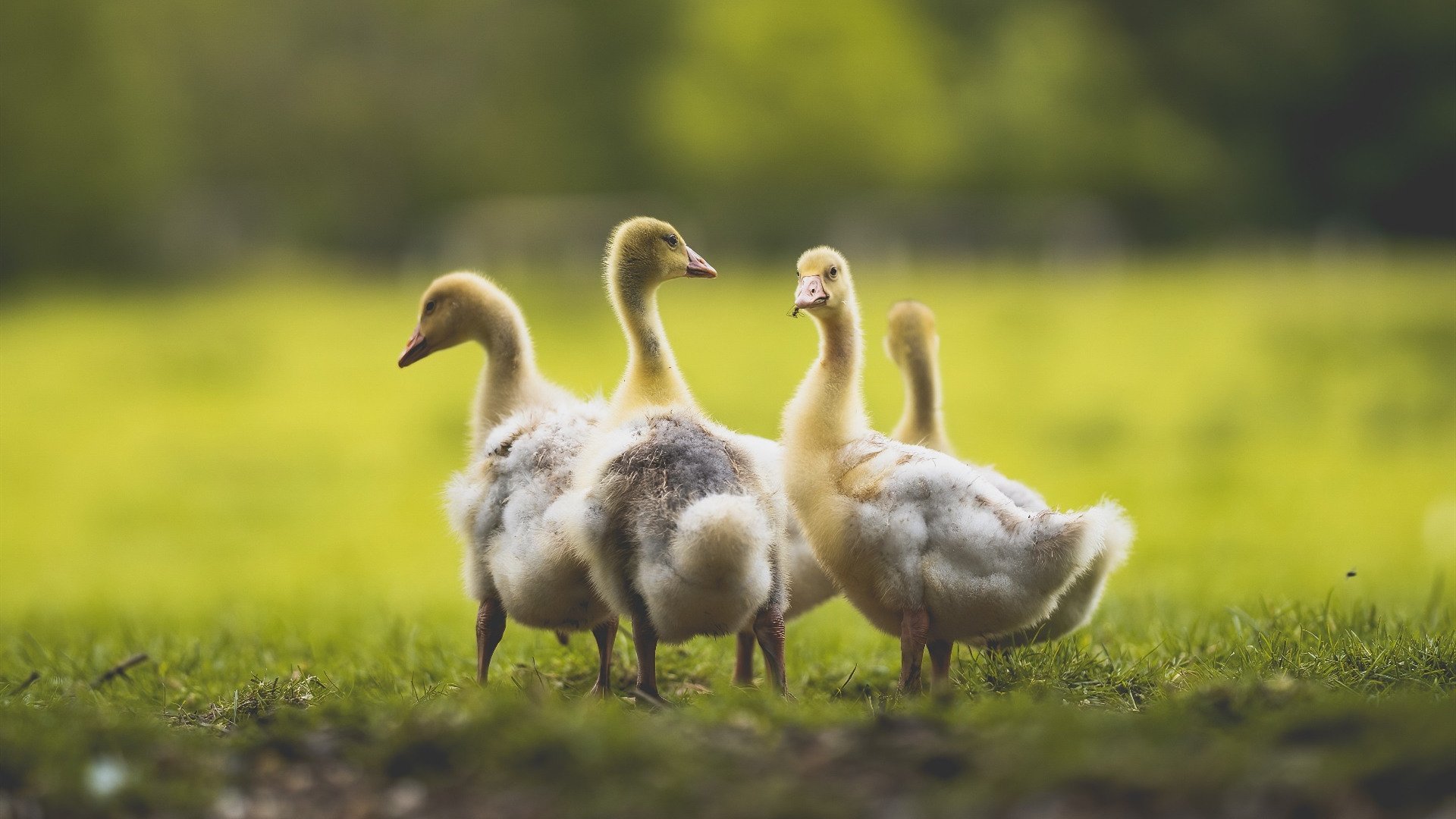 爱游戏中国官方登录入口网站-城市基础设施提升配套，赛事承办能力获肯定，城市基础设施概念