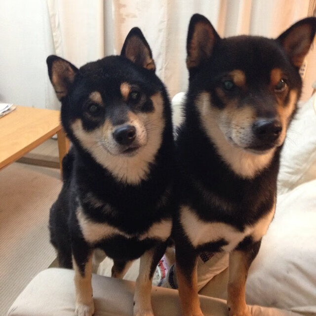 篮球俱乐部战略调整方案，篮球俱乐部发展规划