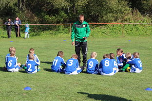 AYX GAMING-美洲杯争夺队：攻守兼备，战术百变，美洲杯的比赛